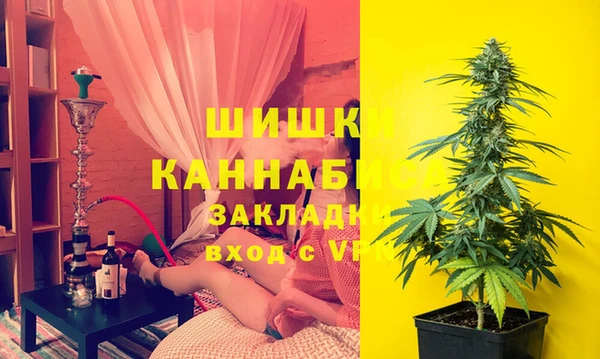 стаф Арсеньев