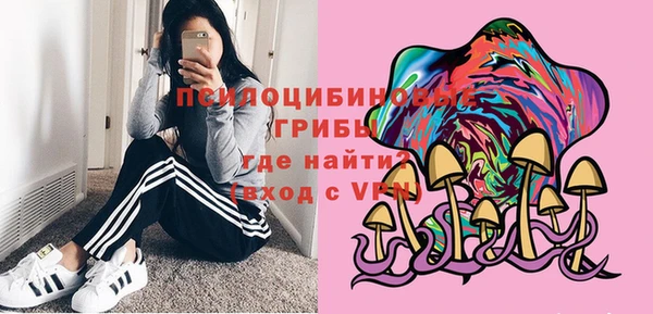 стаф Арсеньев