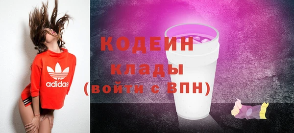 стаф Арсеньев